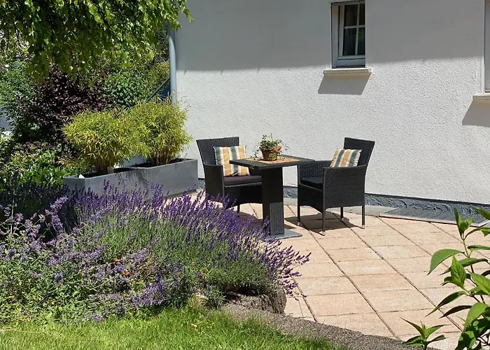 Blick Ins Gruene * Winterberg